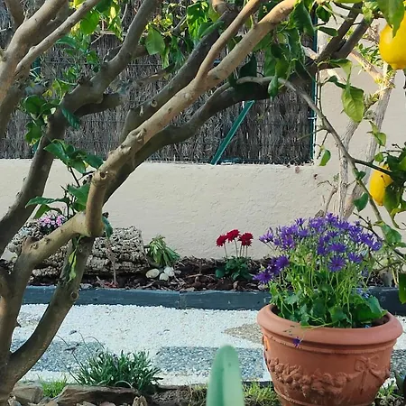 Hébergement de vacances Charmante De Plain Pied Dans Quartier Calme Argelès-sur-Mer